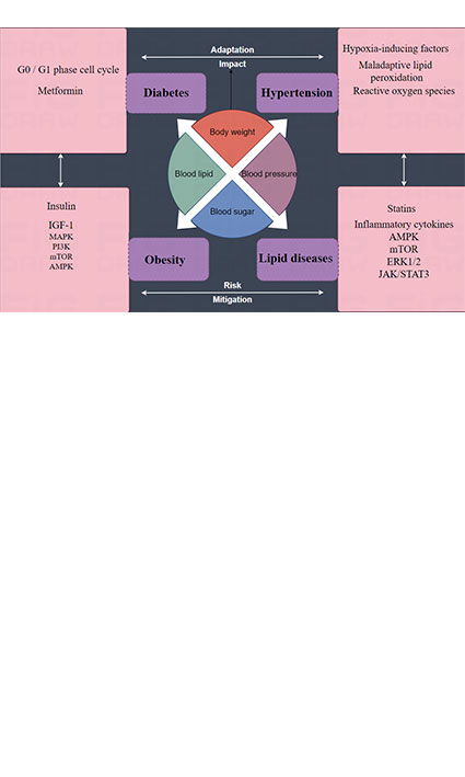 Research Progress of Metabolic Syndrome and Renal Cancer